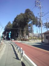 33088-5.jpg