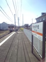 33089-2.jpg