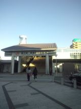 33097-3.jpg