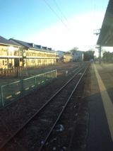 33098-1.jpg