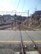 33116-1.jpg