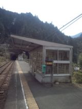 33123-4.jpg