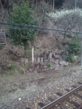 33138-7.jpg