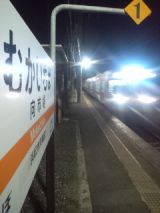 33148-4.jpg