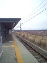 33155-1.jpg