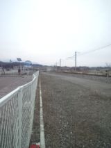 33155-4.jpg