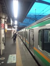 33204.jpg