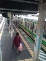 33206.jpg