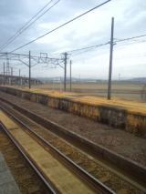 33209-1.jpg