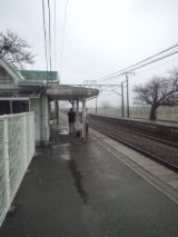 33215-3.jpg