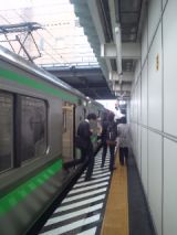 33217.jpg