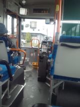 33231-1.jpg