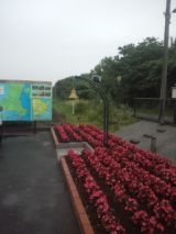 33384-3.jpg