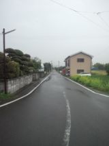 33386-7.jpg