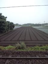 33390-5.jpg