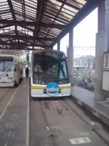 33409.jpg