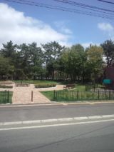 33671-2.jpg