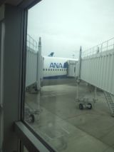 33676.jpg