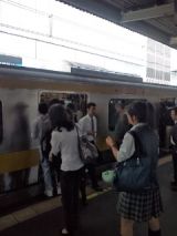 33684.jpg