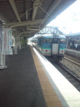 33695.jpg