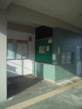 33696-5.jpg
