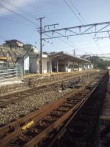 33716-2.jpg