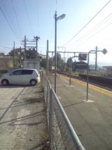 33716-6.jpg