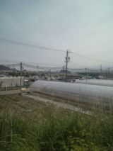 33727-4.jpg