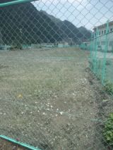 33733-4.jpg