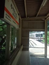 33735.jpg