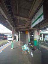 33765.jpg