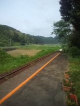 33769-4.jpg
