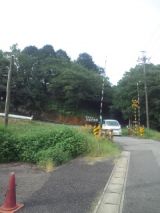 33769-5.jpg