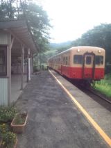 33769-7.jpg