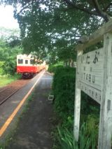 33770.jpg