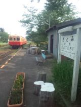 33773-8.jpg