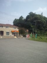 33774-4.jpg