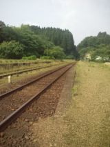 33774-7.jpg