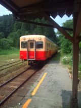 33776.jpg