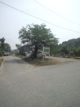 33777-6.jpg