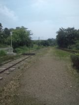 33780-3.jpg