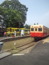 33782.jpg