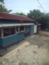 33783-1.jpg