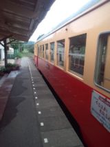 33786.jpg