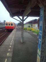 33794.jpg