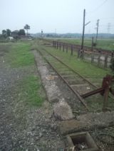 33796-4.jpg