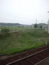 33797-1.jpg