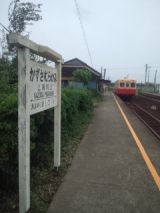 33801.jpg