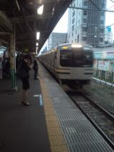 33803-1.jpg