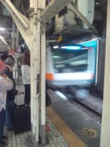 33810.jpg